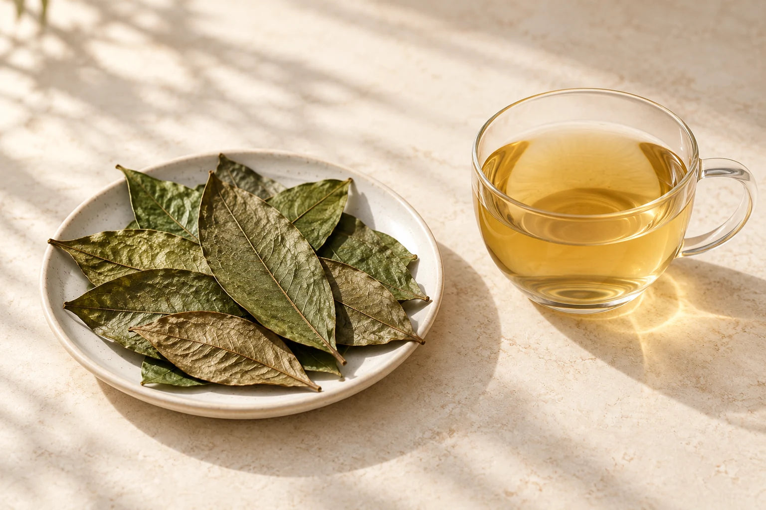 Illustration of dried botanical leaves beside a glass of pale amber infusion