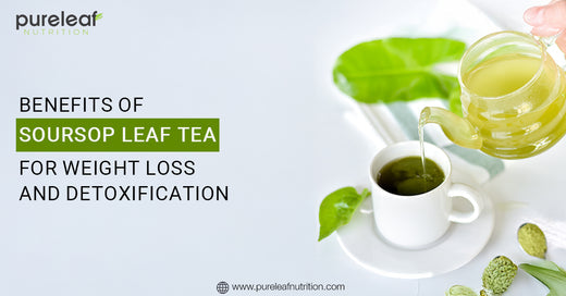 Benefits of Soursop Leaf Tea for Weight Loss and Detoxification