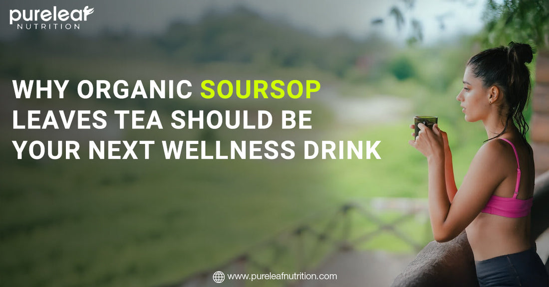 Why Organic Soursop Leaves Tea Should Be Your Next Wellness Drink