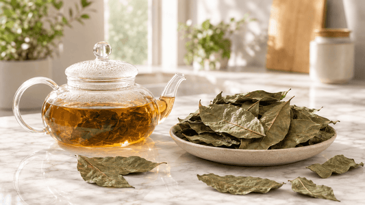 Buy Soursop Tea Bags: A Buyer’s Guide to Organic Soursop Leaf Tea Quality