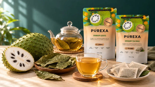 PUREXA soursop tea bags and whole dried leaves with soursop fruit, brewed leaf tea, loose leaves, and tea sachets