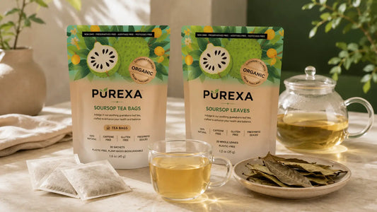 PUREXA organic soursop tea bags and whole dried leaves with threadless sachets and pale-golden leaf tea
