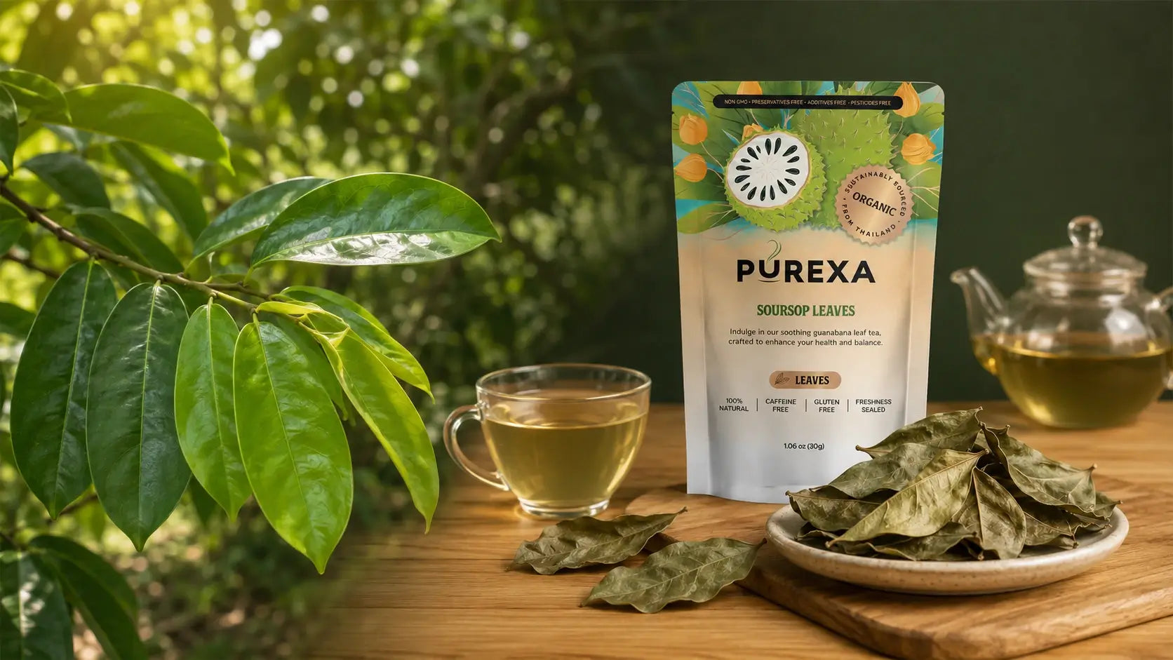Fresh vs. Dried Soursop Leaves: Differences, Storage, and Tea Use