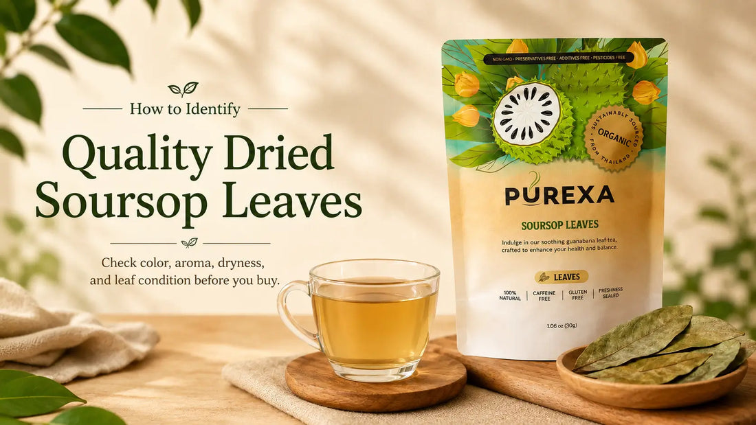 How to Identify Quality Dried Soursop Leaves: Color, Aroma, Moisture and Packaging