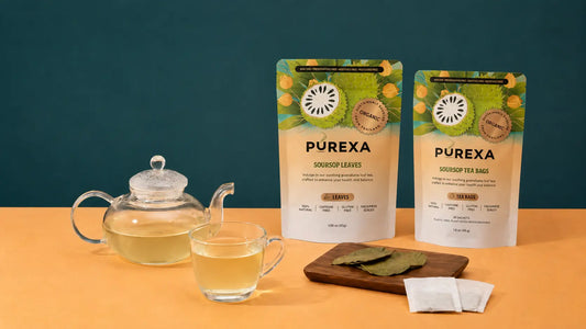 PUREXA Organic Soursop Tea Bags and Whole Leaves with brewed tea, dried leaves, and tea sachets