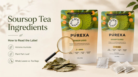 Soursop Tea Ingredients: How to Read Labels, Botanical Names, Origin & Product Format