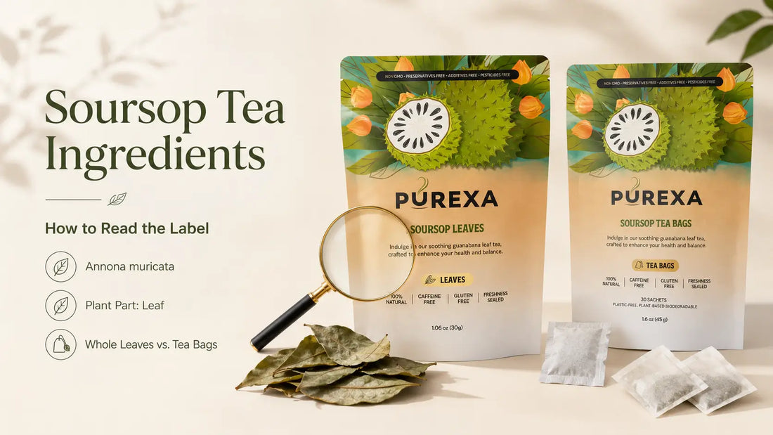 Soursop Tea Ingredients: How to Read Labels, Botanical Names, Origin & Product Format