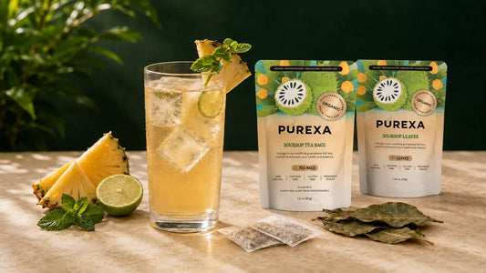Iced PUREXA soursop tea with pineapple, lime, mint, tea bags, and whole dried leaves