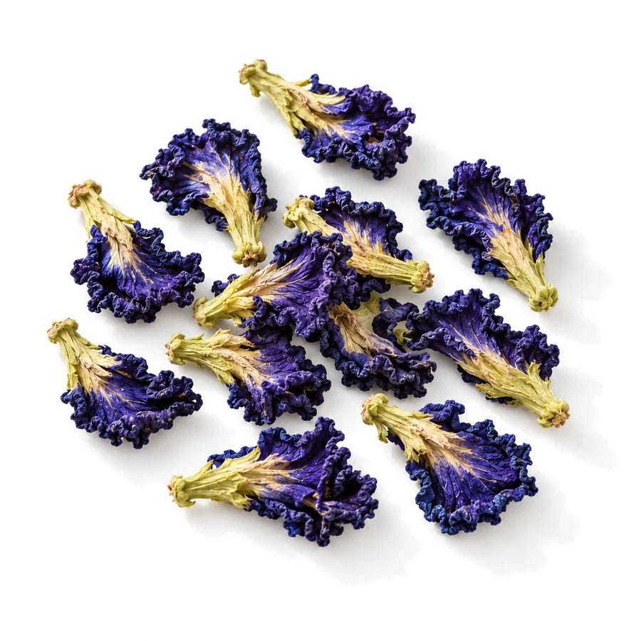 Dried butterfly pea flowers, botanical illustration